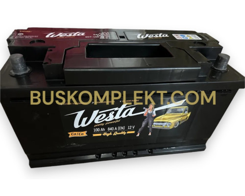 Аккумулятор 6СТ-100 А*год 12В ISUZU Богдан